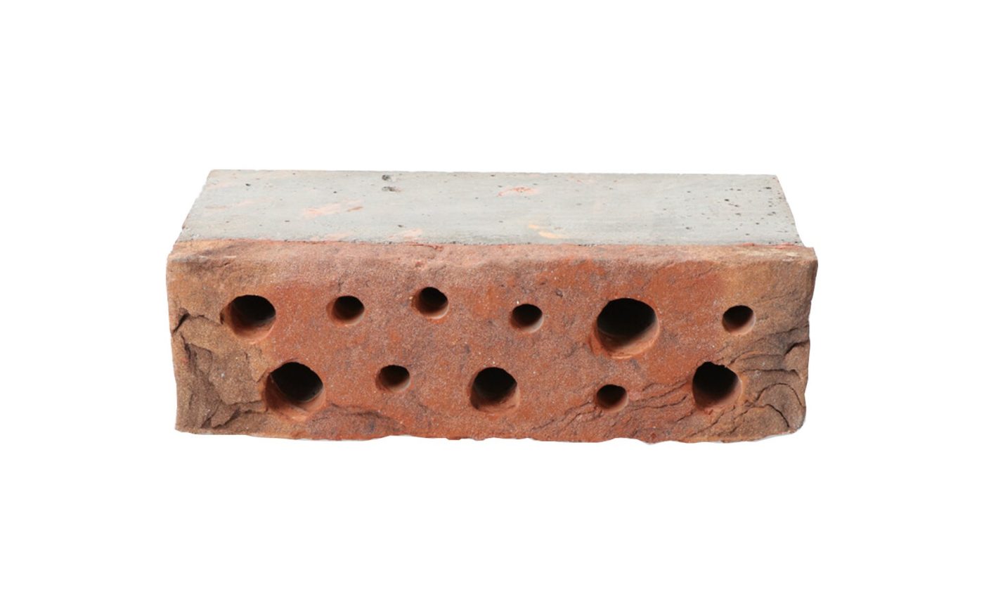 Brique à insectes
